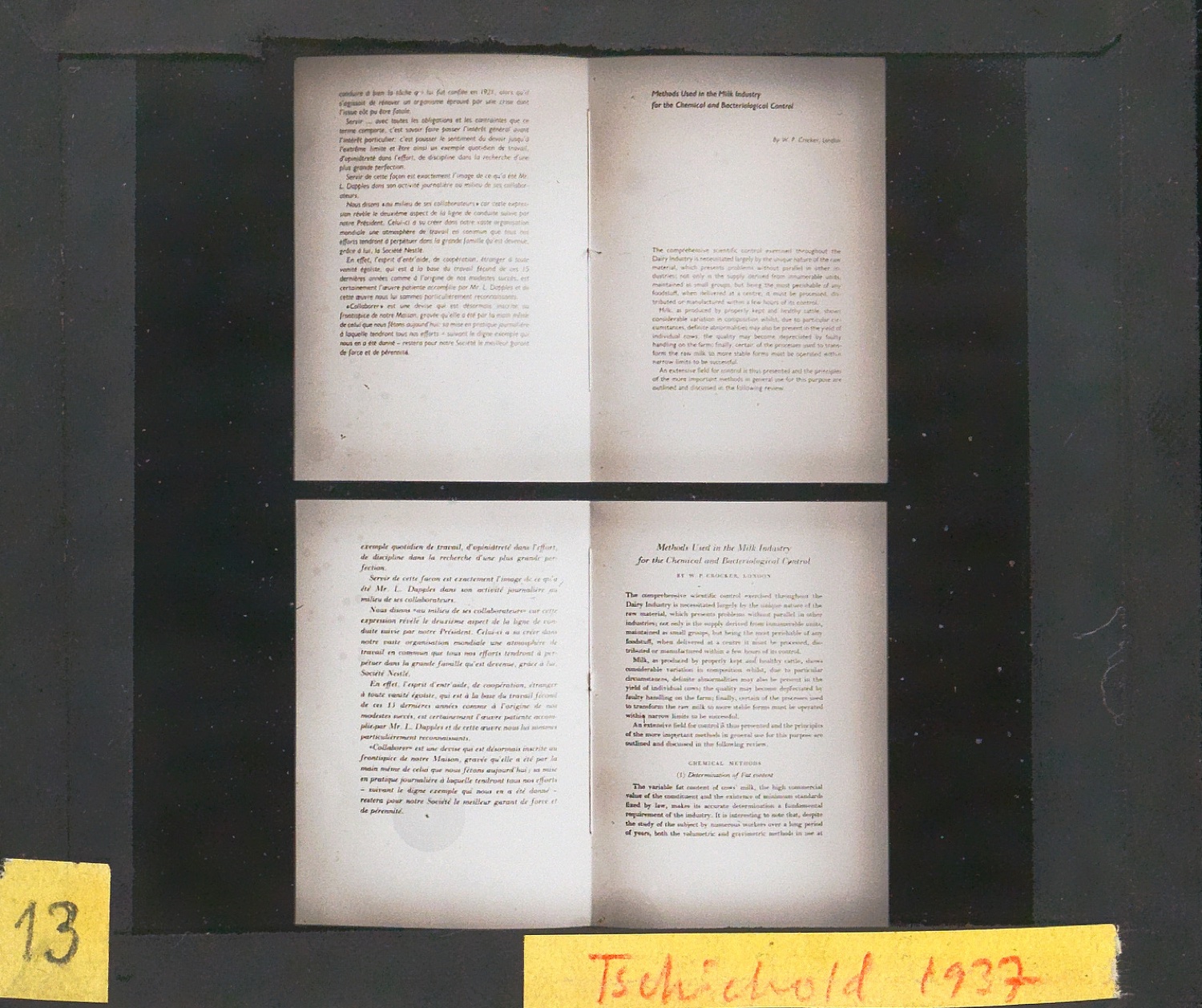 Lichtbilder auf Glasplatten — Blatt 37