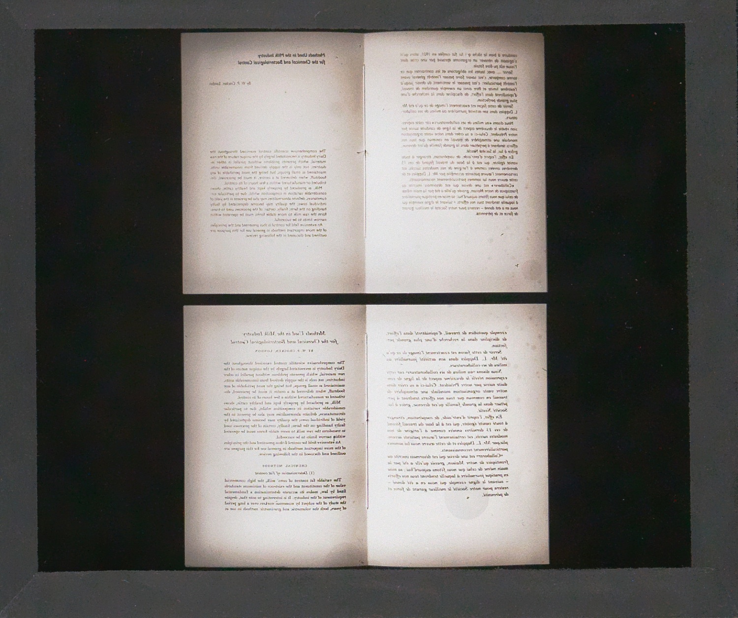 Lichtbilder auf Glasplatten — Blatt 38