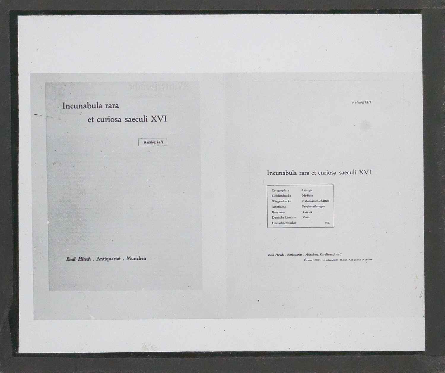 Lichtbilder auf Glasplatten — Blatt 47