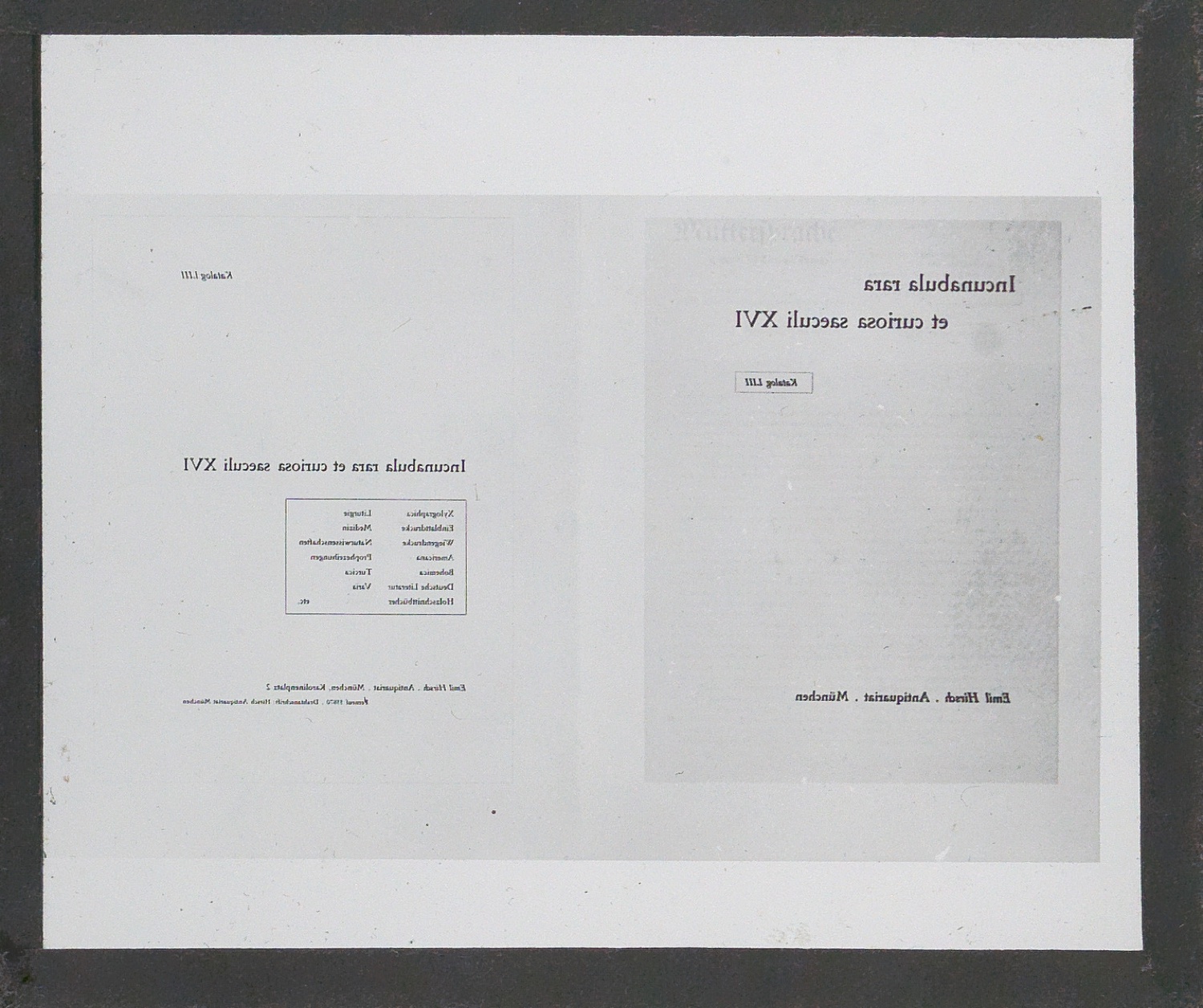 Lichtbilder auf Glasplatten — Blatt 48