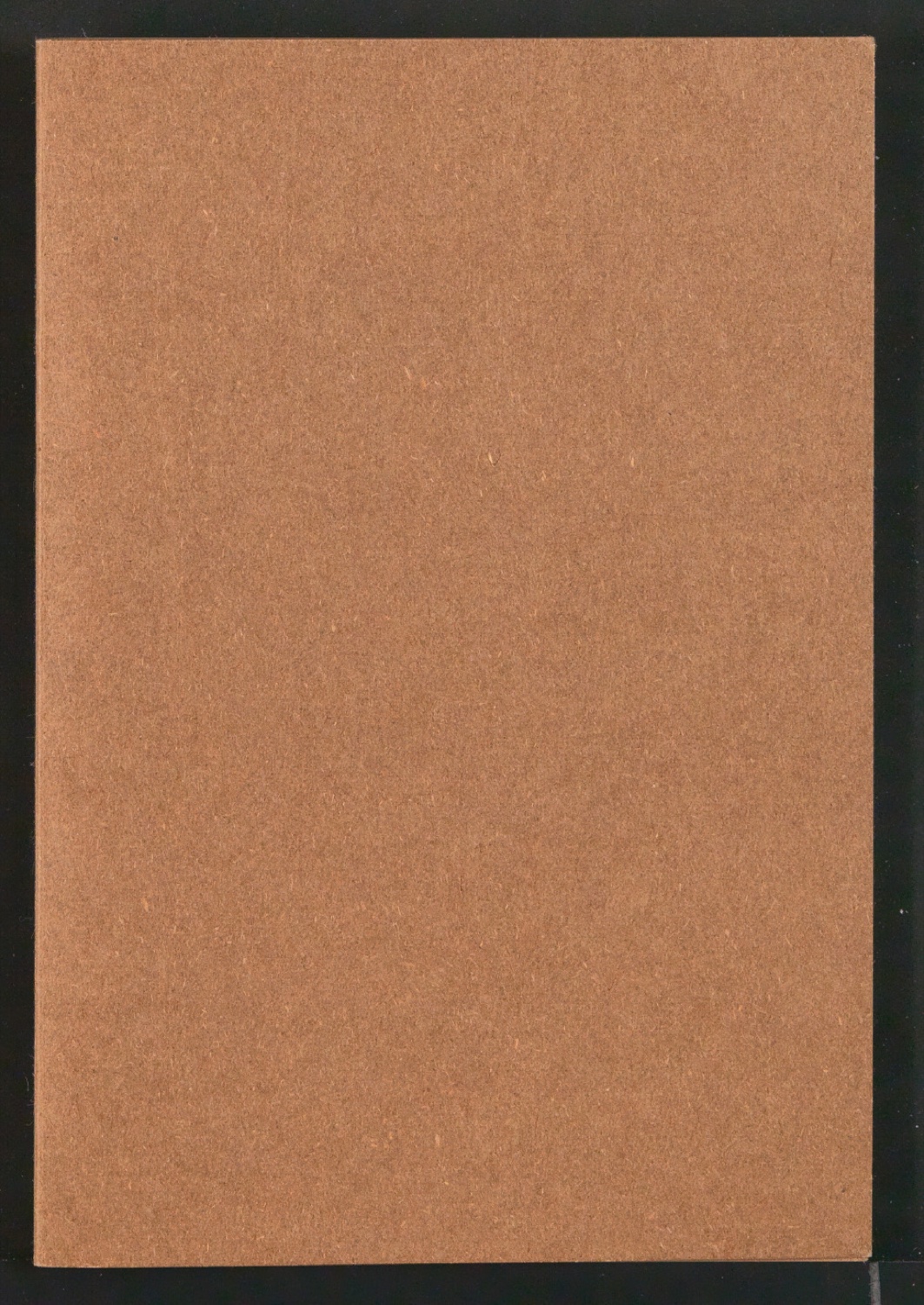 Entwurfszeichnungen von Neujahrswunsch für Albert Caflisch — Blatt 1