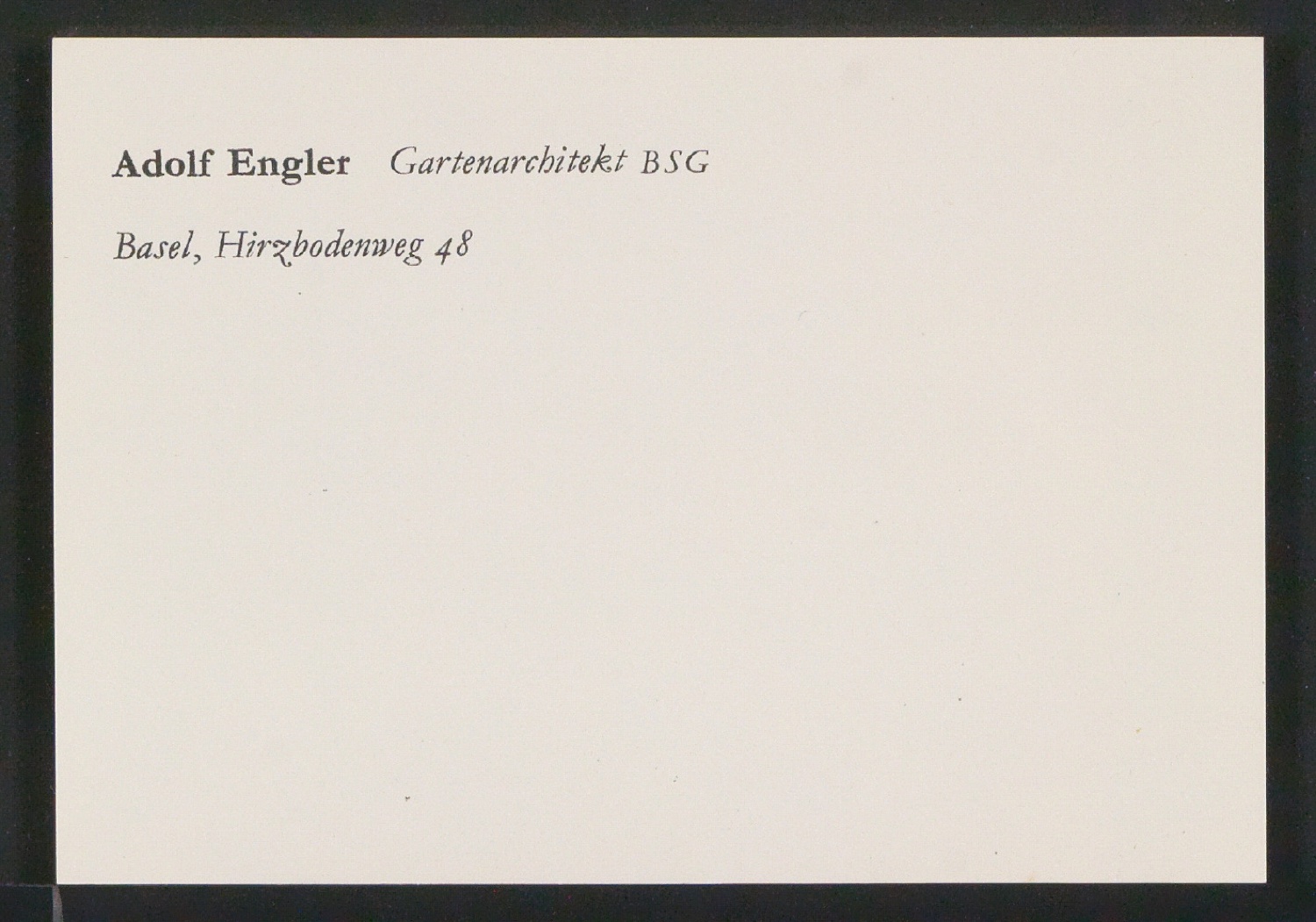 Briefbogen und Skizzen von Visitenkarten für Adolf Engler, Gartenarchitekt — Blatt 3