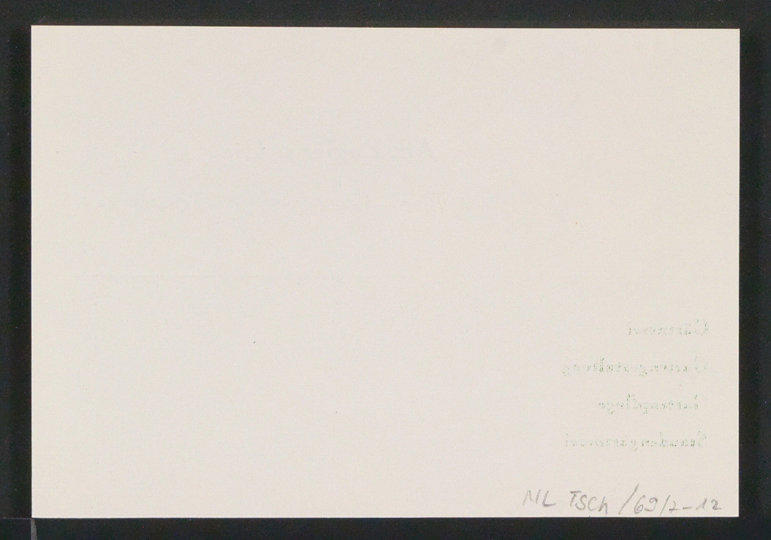 Briefbogen und Skizzen von Visitenkarten für Adolf Engler, Gartenarchitekt — Blatt 8