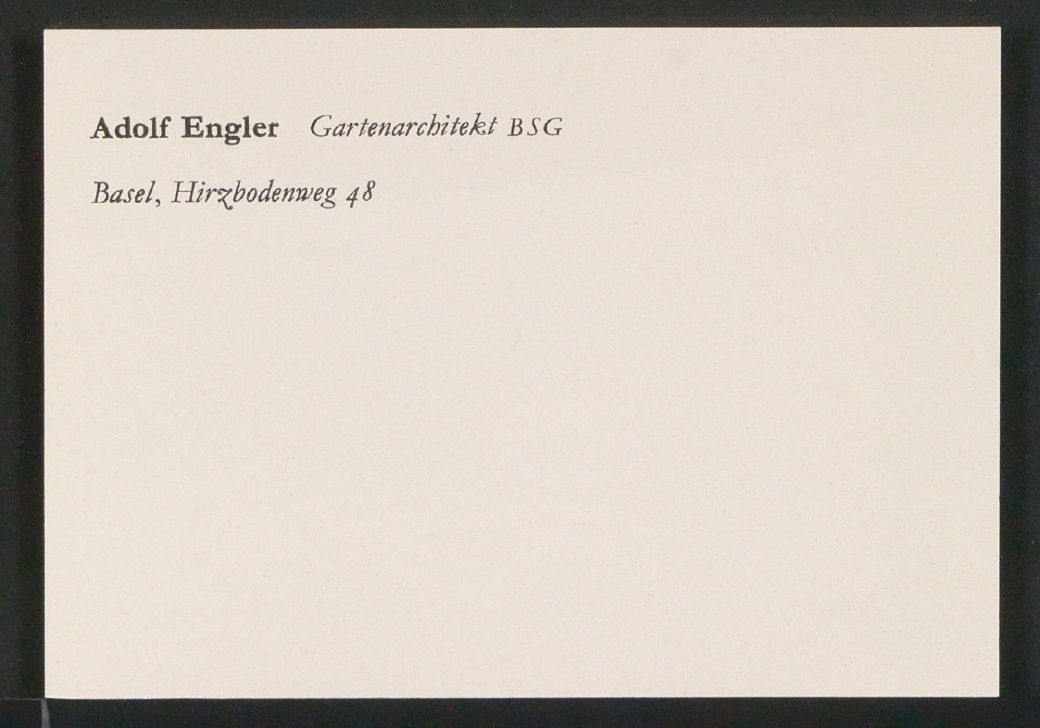Briefbogen und Skizzen von Visitenkarten für Adolf Engler, Gartenarchitekt — Blatt 9