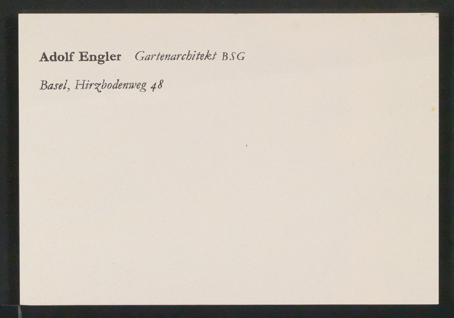 Briefbogen und Skizzen von Visitenkarten für Adolf Engler, Gartenarchitekt — Blatt 11