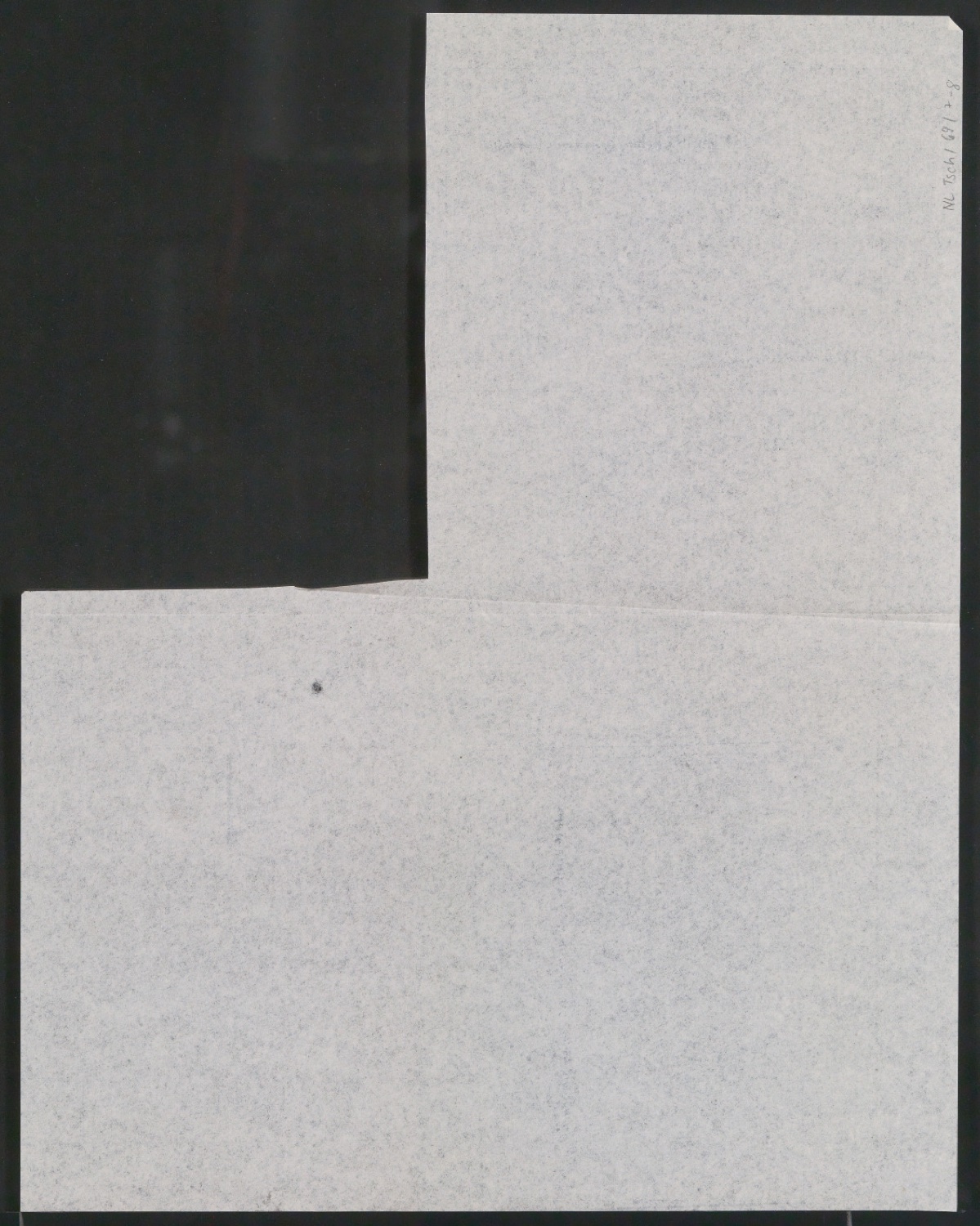 Briefbogen und Skizzen von Visitenkarten für Adolf Engler, Gartenarchitekt — Blatt 24