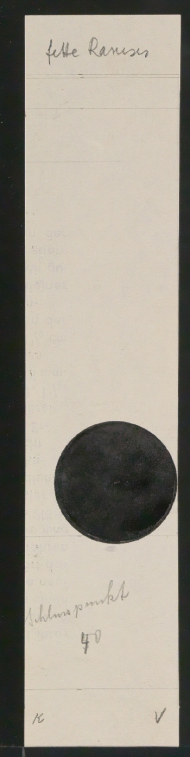 Entwurfszeichnungen Uhertype Fette Ramses — Blatt 141