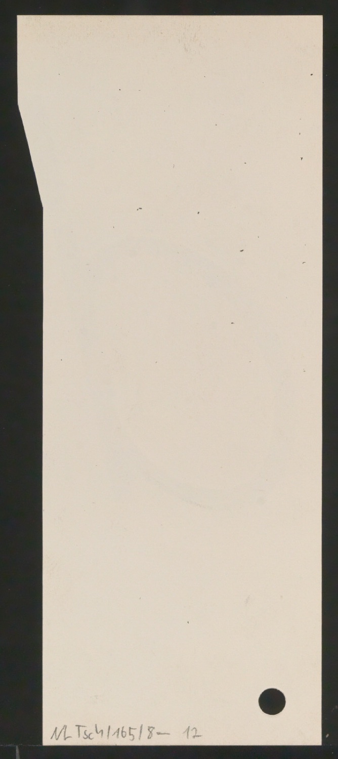 Entwurfszeichnungen Uhertype Magere Grotesk Kursiv — Blatt 32
