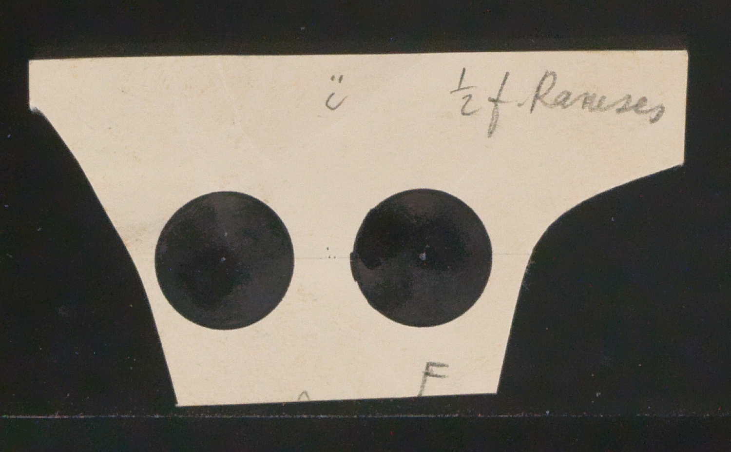 Entwurfszeichnungen Uhertype Halbfette Ramses — Blatt 19