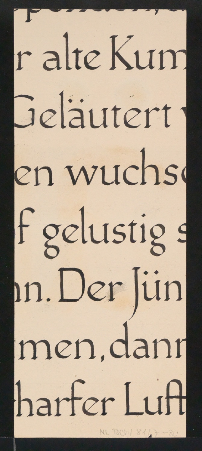 Mappe mit Entwurfszeichnungen Uhertype Halbfette Standard-Grotesk Gemeine — Blatt 60