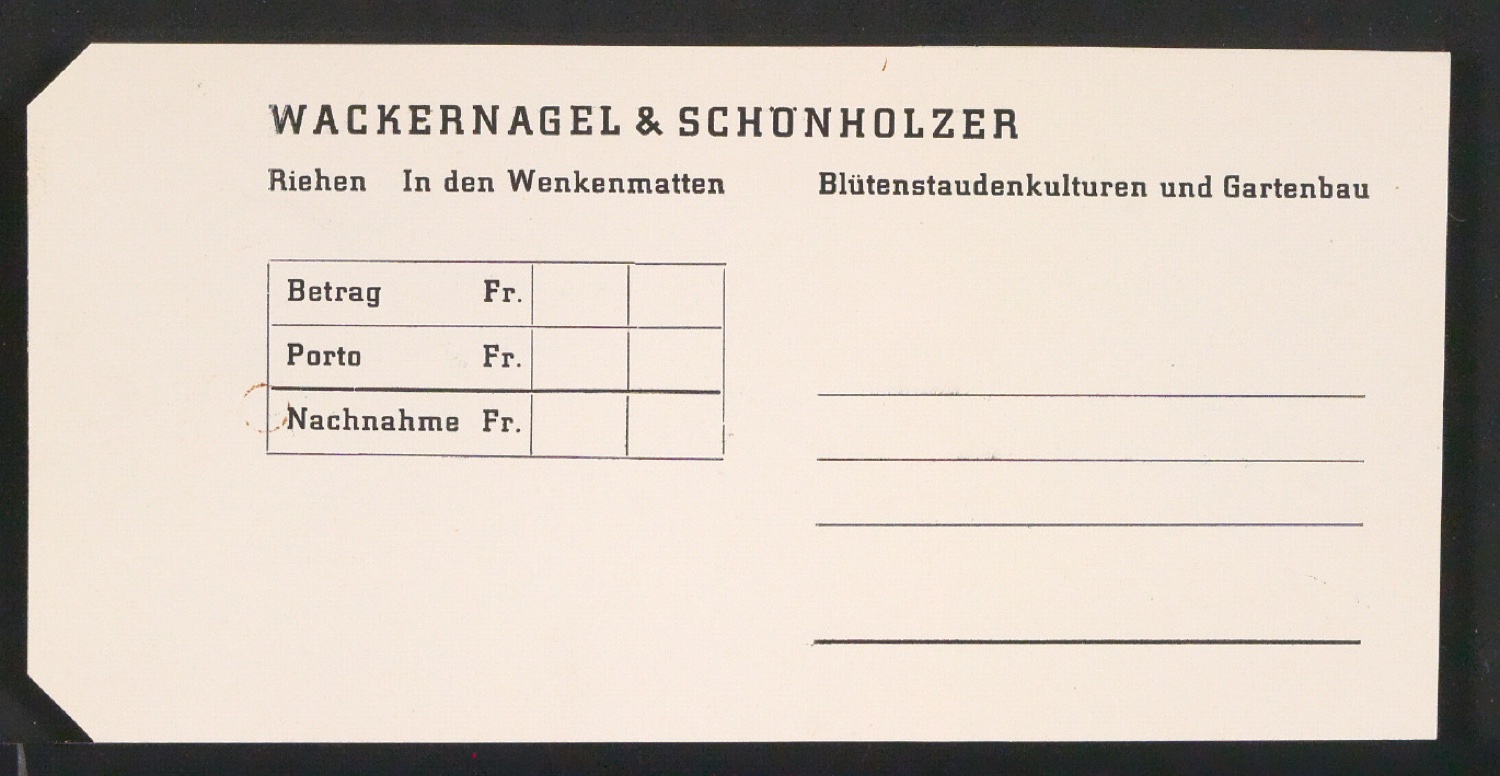 Geschäftsdrucksachen für Firma Wackernagel & Schönholzer, Gartenbau — Blatt 5