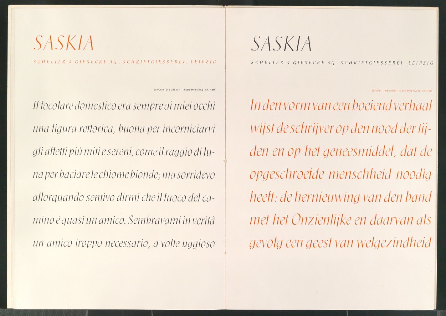 Saskia — Blatt 10
