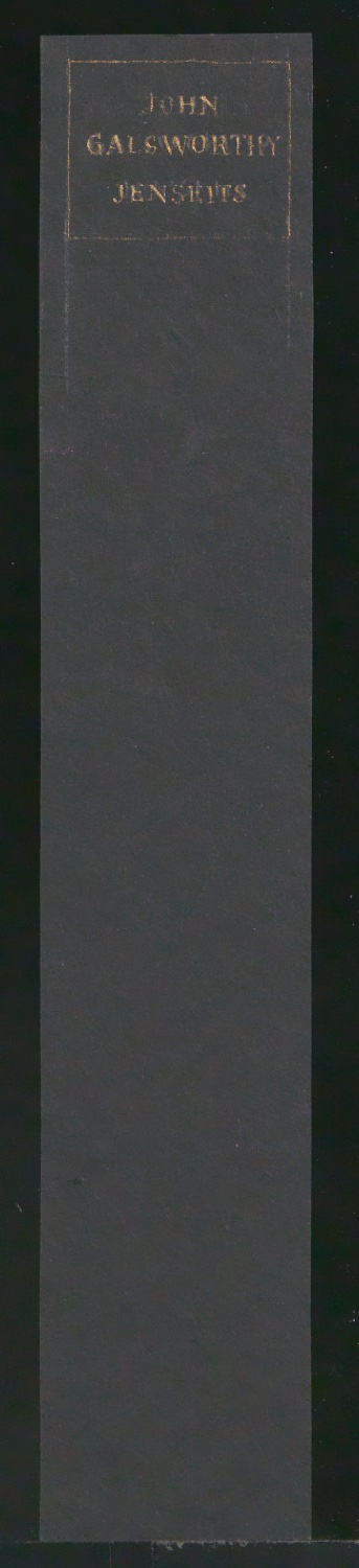 Entwürfe für den Buchrücken von Jenseits — Blatt 1