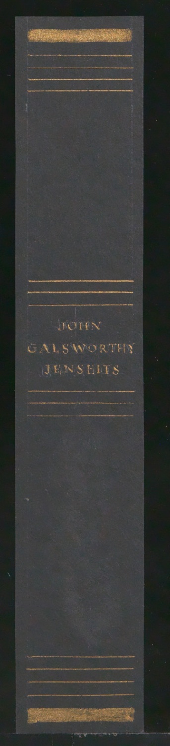 Entwürfe für den Buchrücken von Jenseits — Blatt 5
