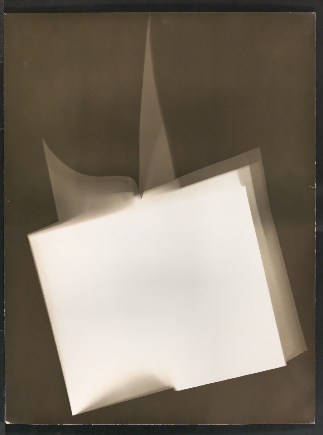 Fotogramme für den Umschlagentwurf von Insel-Almanach 1929 — Blatt 5