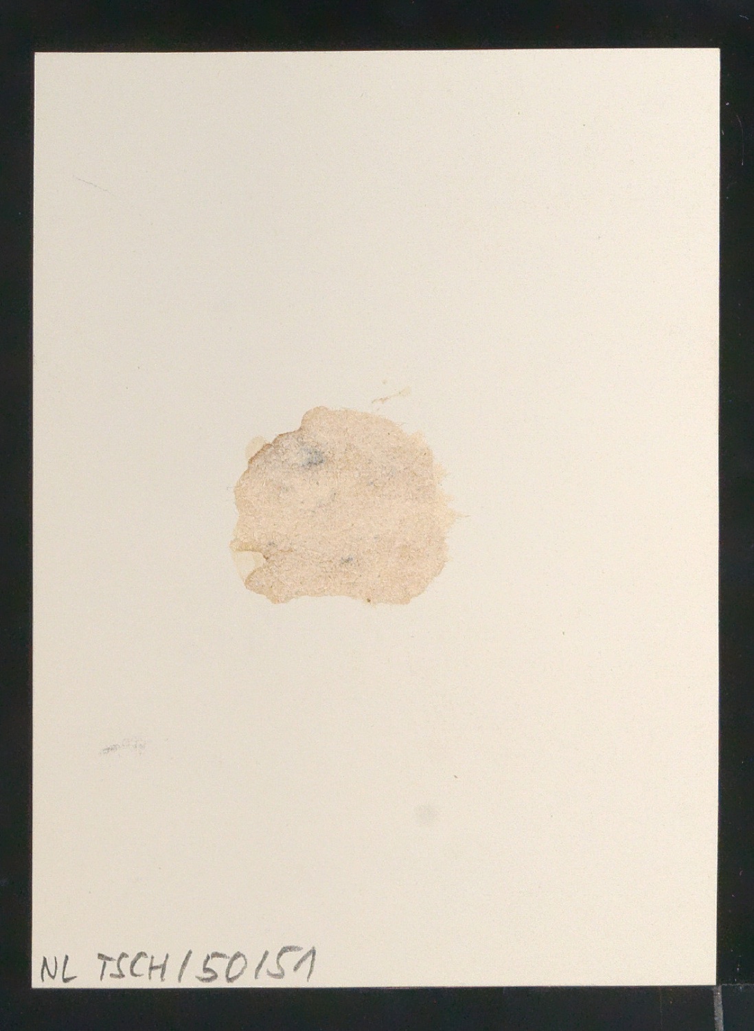 Reproduktionsfotografie von Plakat Piquedame für Phoebus-Palast — Blatt 2