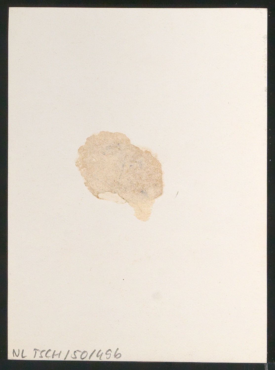 Reproduktionsfotografie von Plakat Die Lady ohne Schleier für Phoebus-Palast — Blatt 2