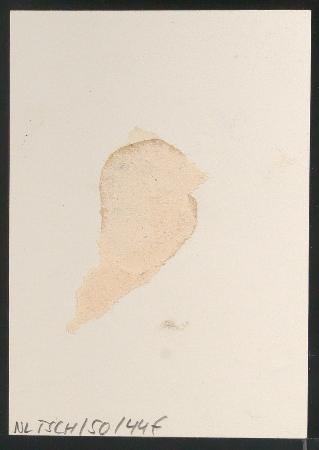 Reproduktionsfotografien und verkleinerte Nachdrucke von Plakat Laster der Menschheit — Blatt 4