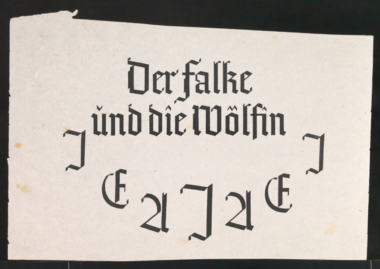 Probedruck für das Titelblatt von Der Falke und die Wölfin — Blatt 1