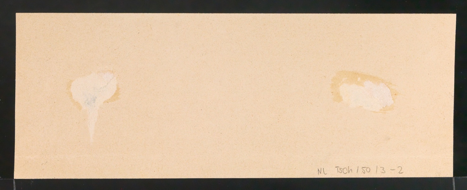 Probedruck für den Titelzug für Barock-Bozetti, Band 1 — Blatt 2