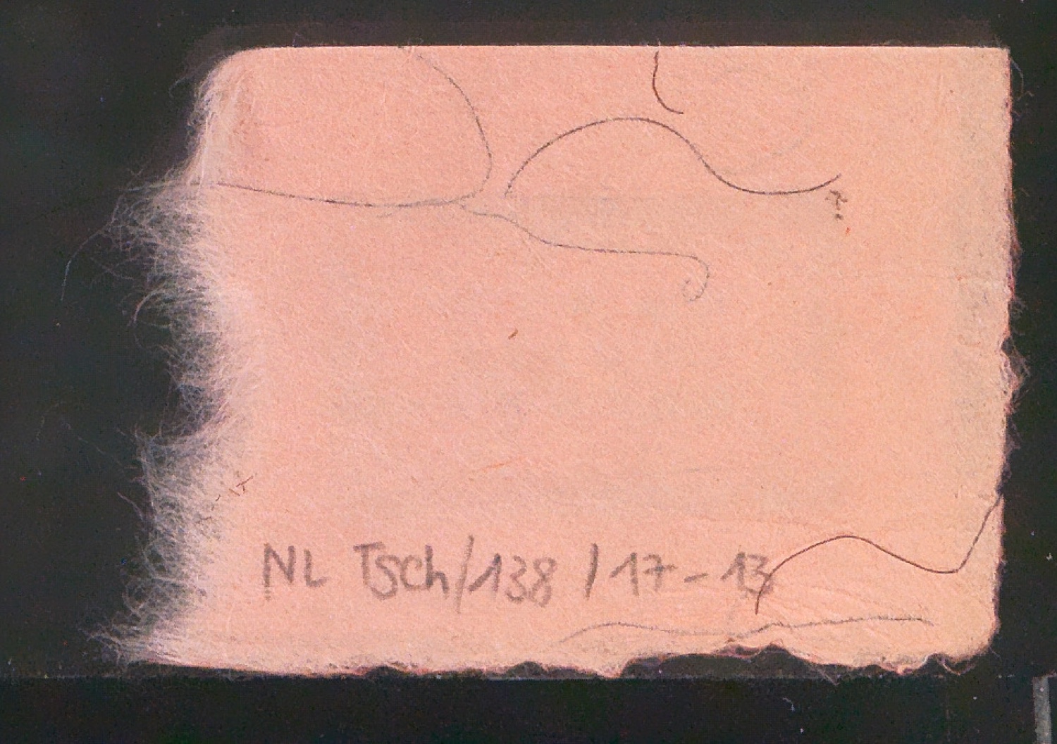 Exlibris für Marie-Louise Bruhns — Blatt 10