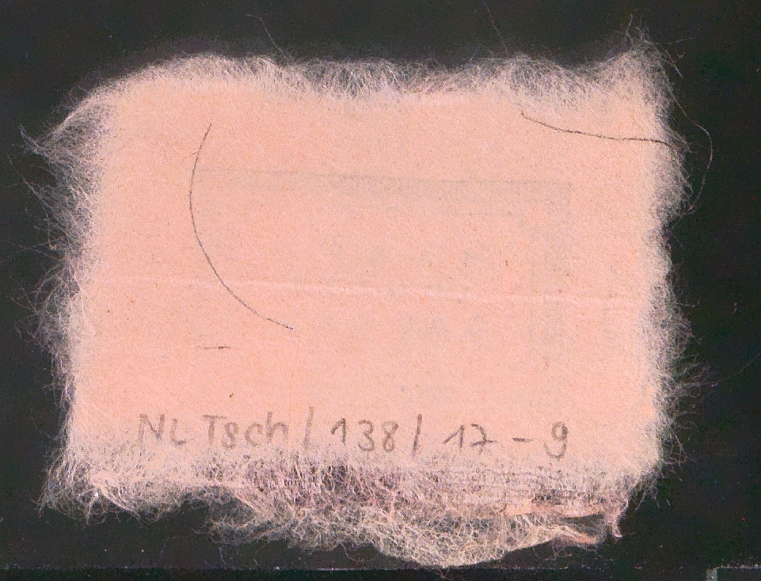 Exlibris für Marie-Louise Bruhns — Blatt 14