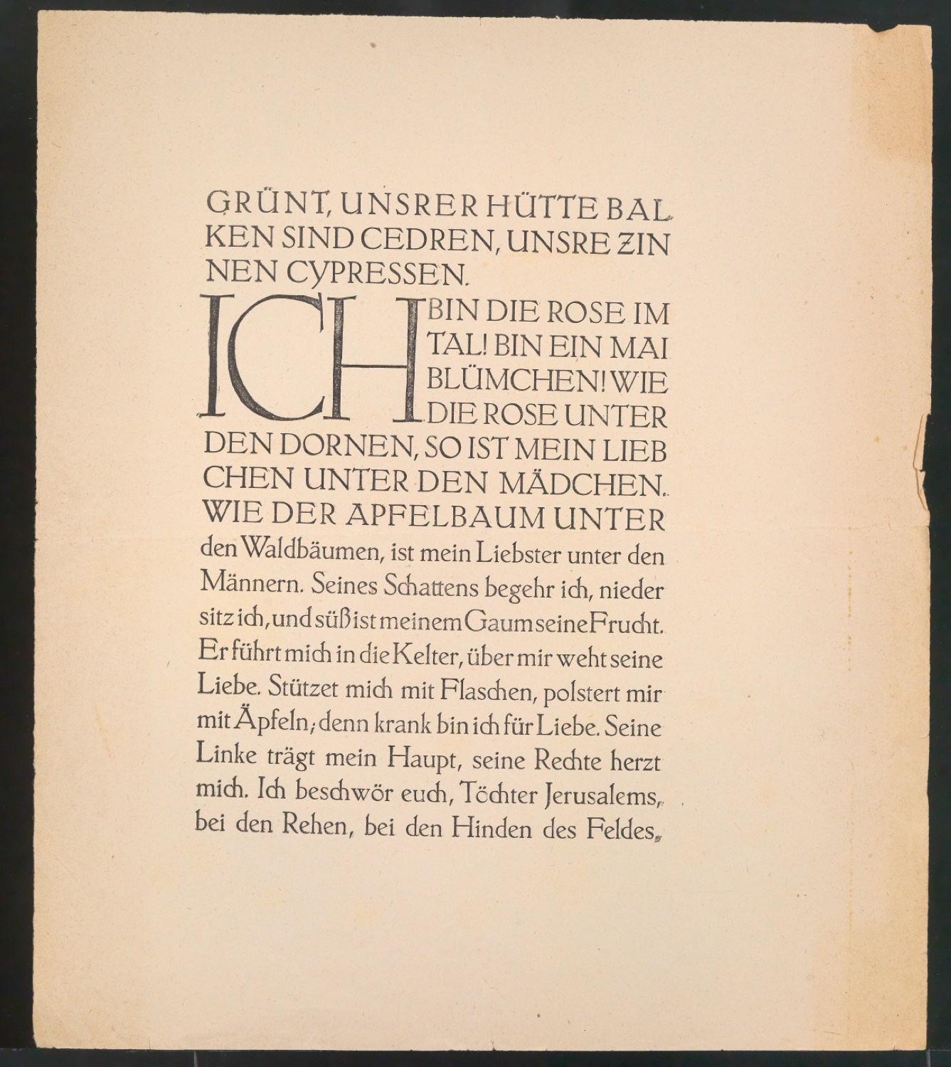 Probedrucke von Seiten aus Brief des Pastors — Blatt 3