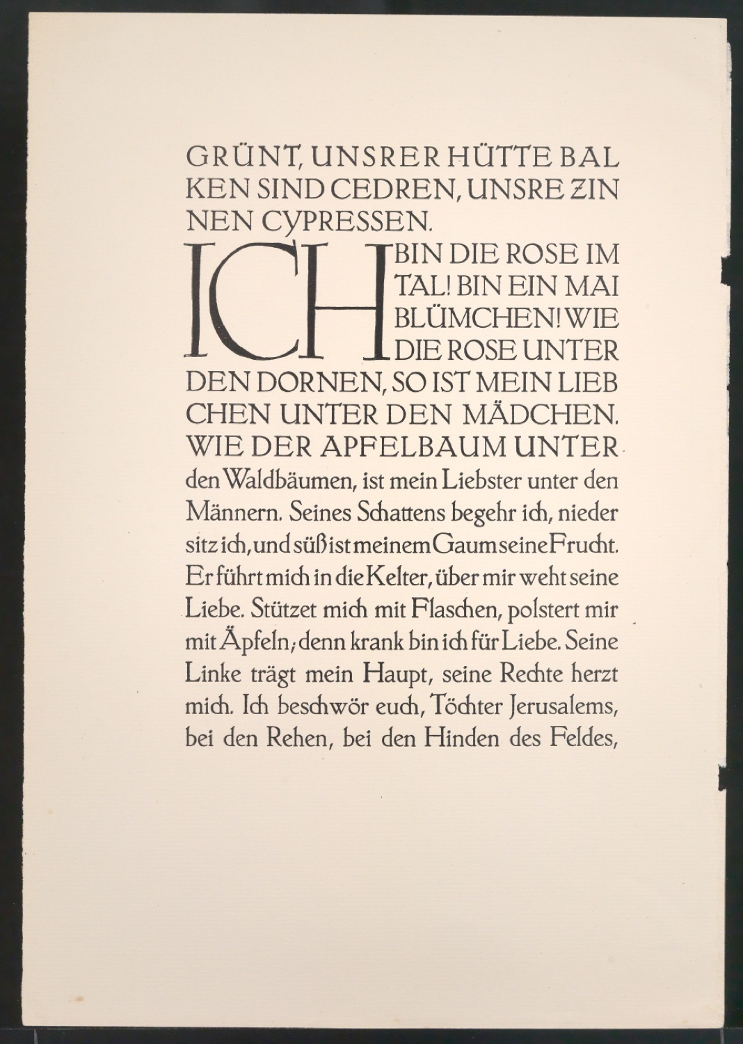 Probedrucke von Seiten aus Brief des Pastors — Blatt 7
