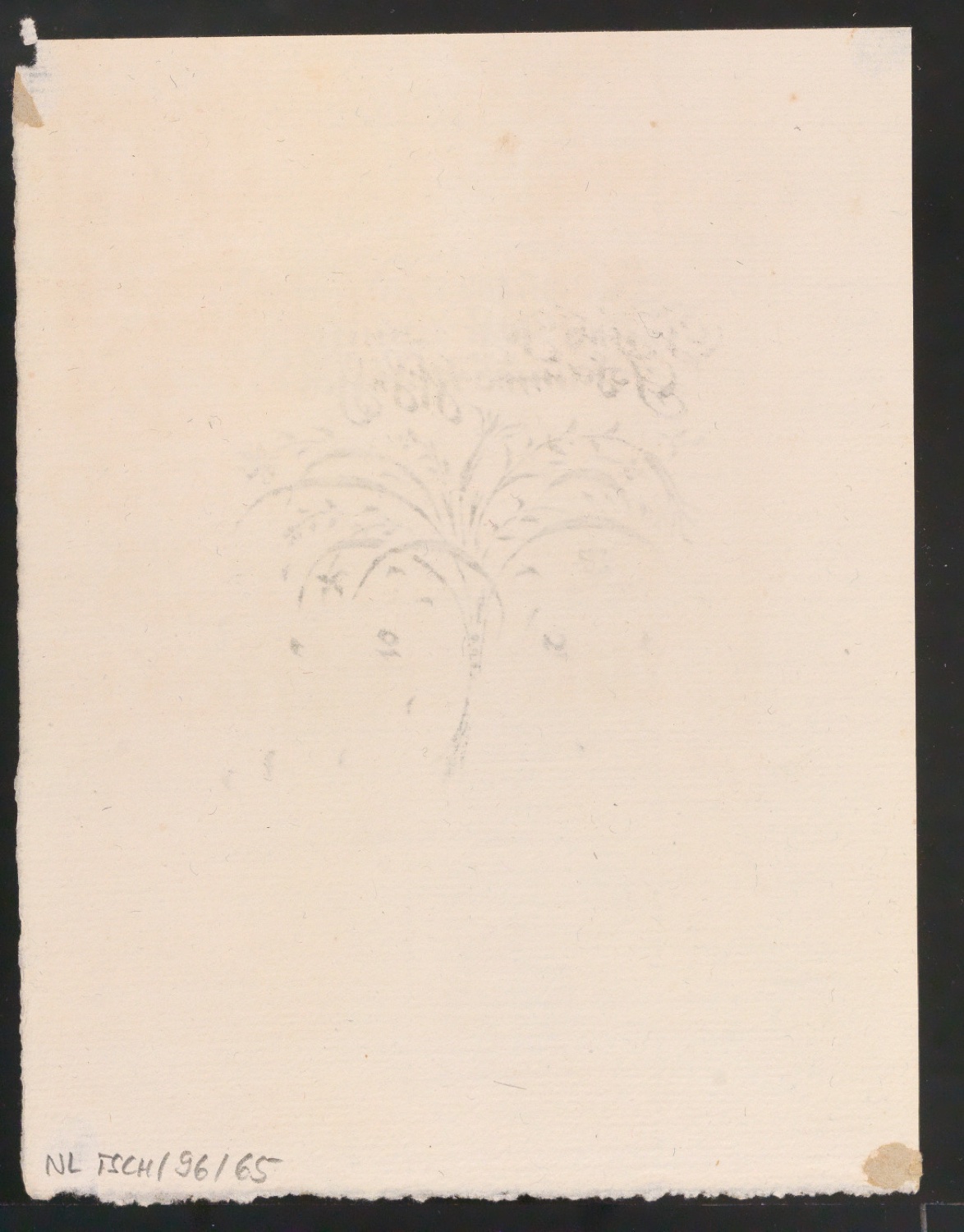 Ein gutes und frohes Neues Jahr wünscht Johannes Tzschichhold 1921 — Blatt 2