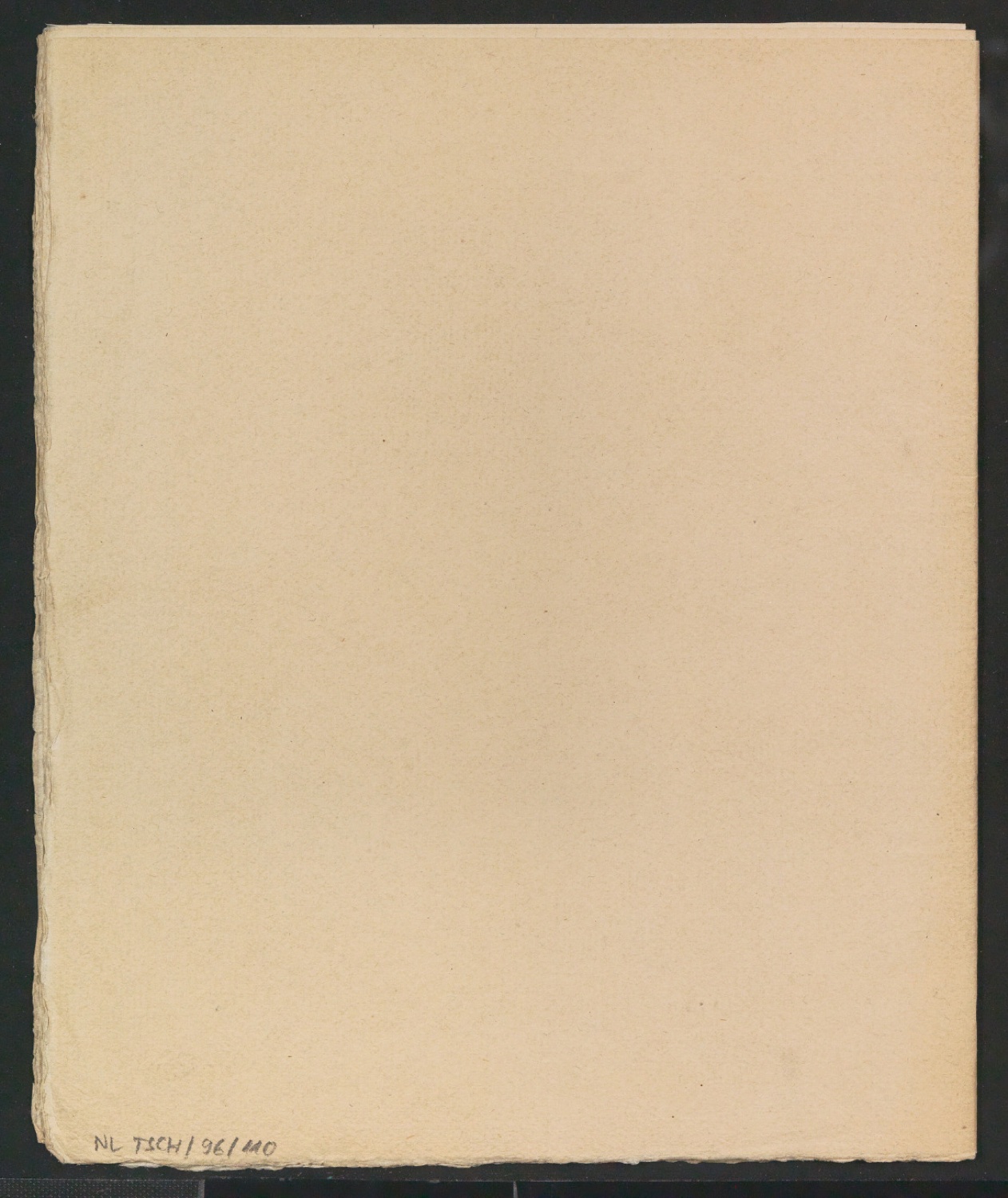 Dornröschen — Blatt 11